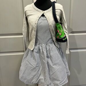 Hollister Blue and White Striped Dress